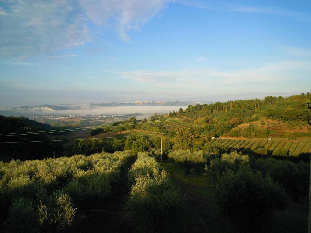 Agriturismo La Ginestrella Civitella D'Arna 외부 사진